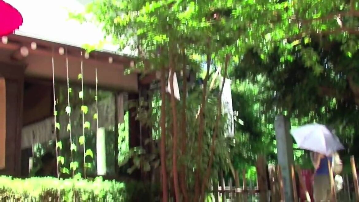 江の島-鳥の茶屋- Coffee shop in Japan