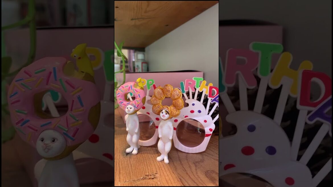 BEST DONUTS in JAPAN are vegan @canelita_sweets