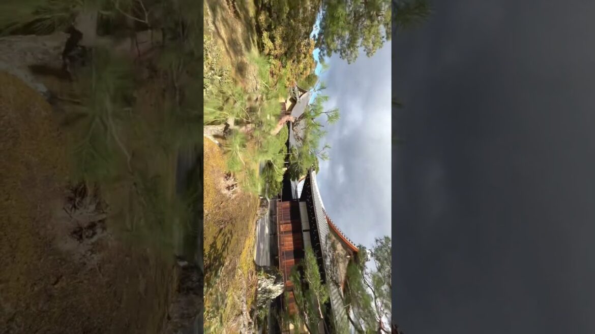 Visiting Japan: Golden Pavilion in Kyoto