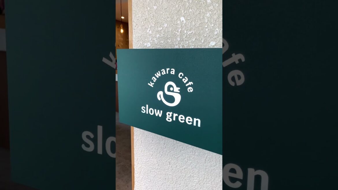 清流”長良川”を一望できるカフェが最高にCHILLだった件について #shorts 清流"長良川"を一望できるカフェが最高にCHILLだった件について #shorts