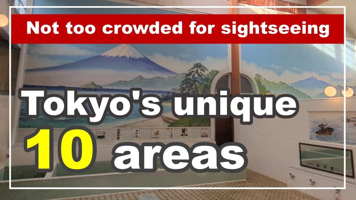 【Not too crowded】10 recommended  unique areas in Tokyo ; Shibamata, Nakano broad way,Toyosu Market