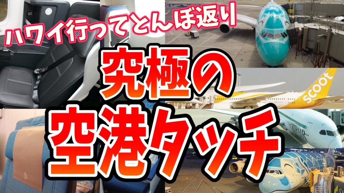 国際線で4日間飛行機に乗り続けてみた！4カ国6都市空港タッチ！ハワイ・シンガポール・韓国・福岡・東京#ハワイ旅行#ZIPAIR#シンガポール航空#scoot#フライングホヌ#sfc修行