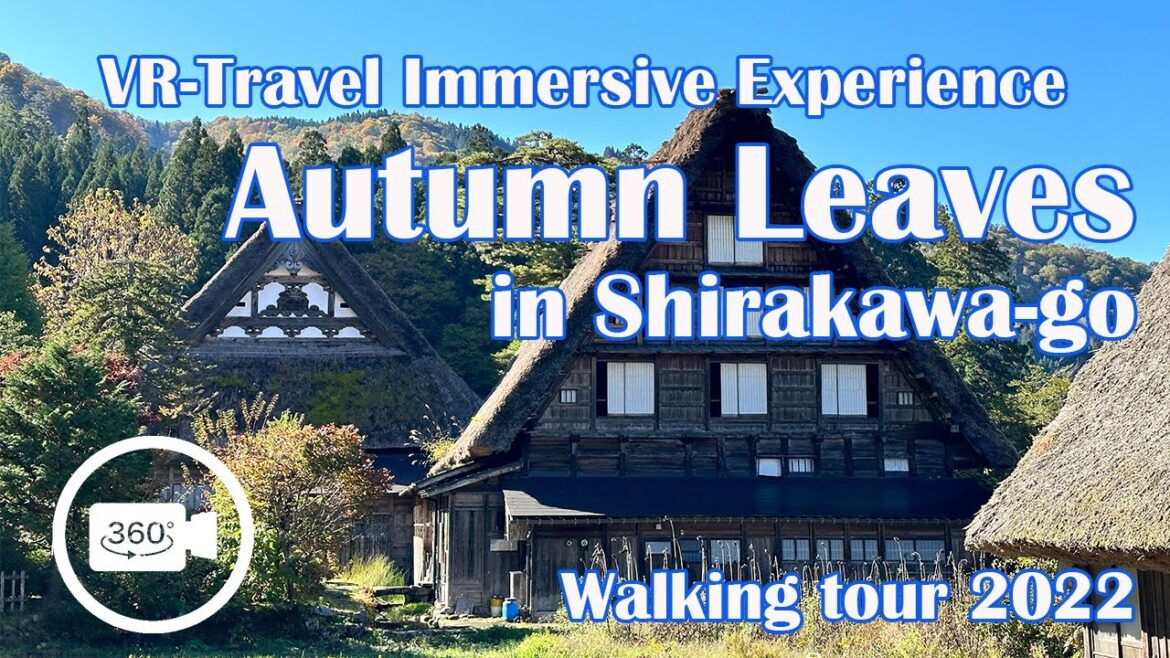 Exploring japan Autumn Leaves in Shirakawa go Walking tour 紅葉の白川郷 前年 Exploring japan Autumn Leaves in Shirakawa go Walking tour 紅葉の白川郷 前年