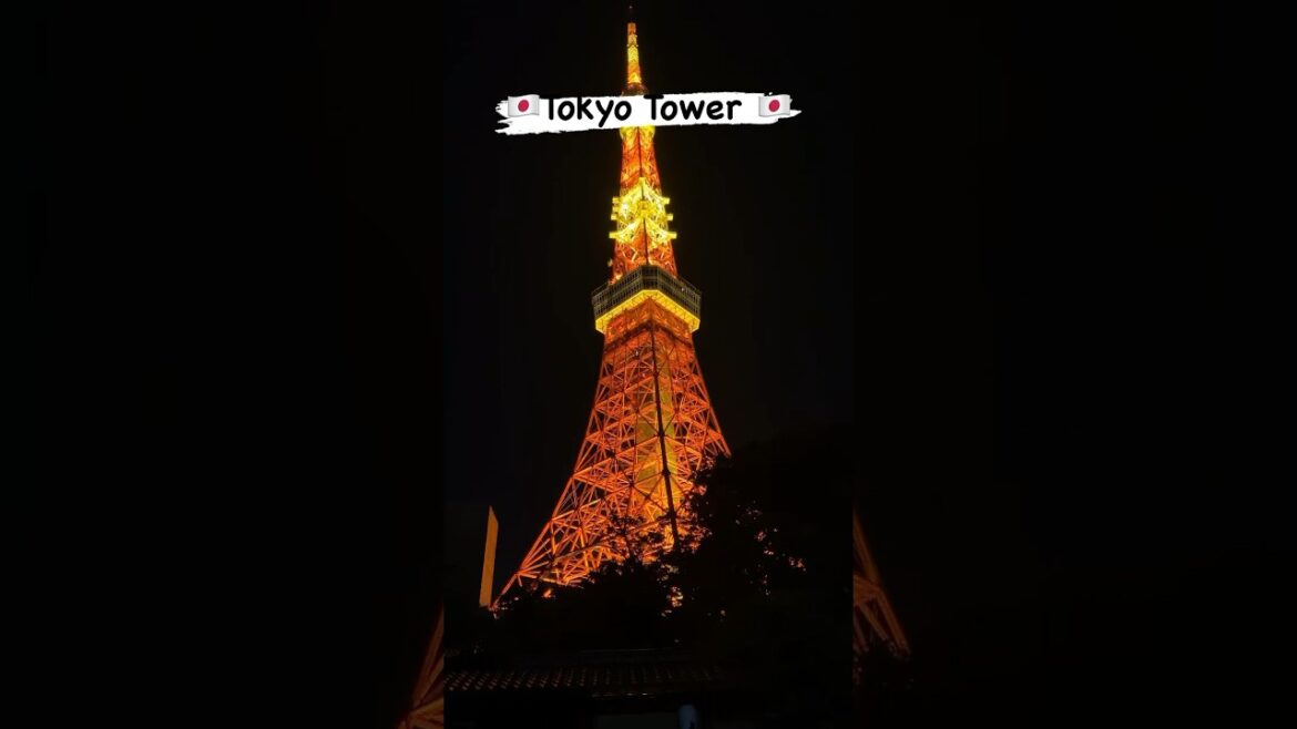 Tokyo tower at night!!  Follow for more!🇯🇵 #tokyo #tokyotower #tokyotravel #japantravel