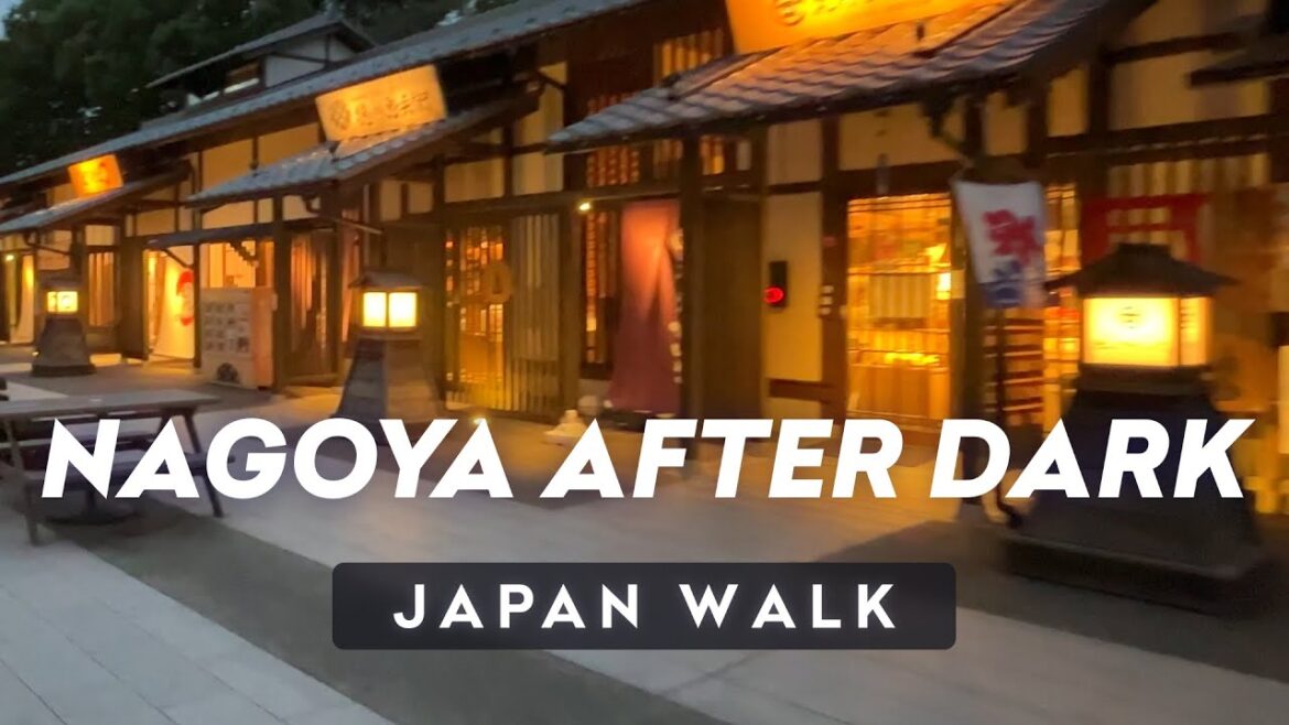 Getting lost looking for Nagoya castle 🏯 NAGOYA WALK PART 2 Getting lost looking for Nagoya castle 🏯 NAGOYA WALK PART 2