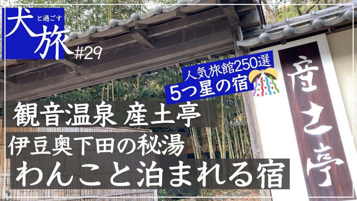 【観音温泉|伊豆奥下田】愛犬と源泉かけ流しの離れ宿「産土亭(うぶすなてい)」でゆるりと過ごす 【観音温泉|伊豆奥下田】愛犬と源泉かけ流しの離れ宿「産土亭(うぶすなてい)」でゆるりと過ごす