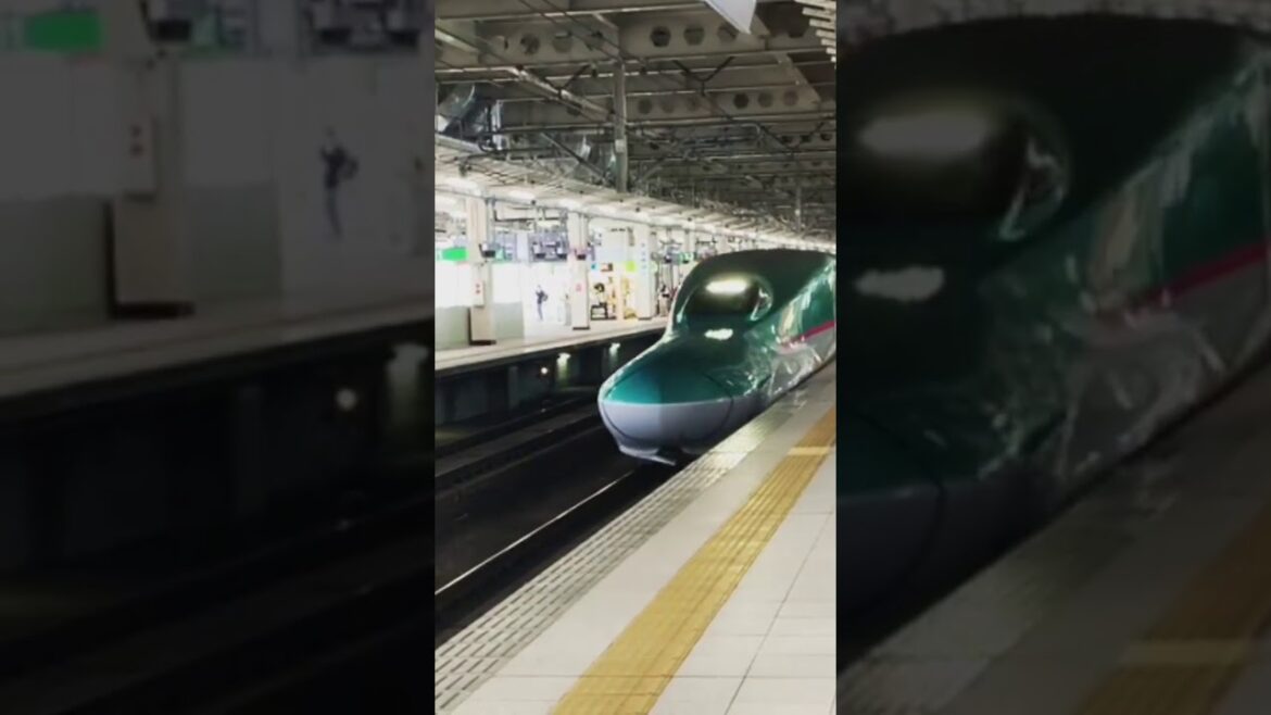 shinkansen hyabusa bullet train #shorts