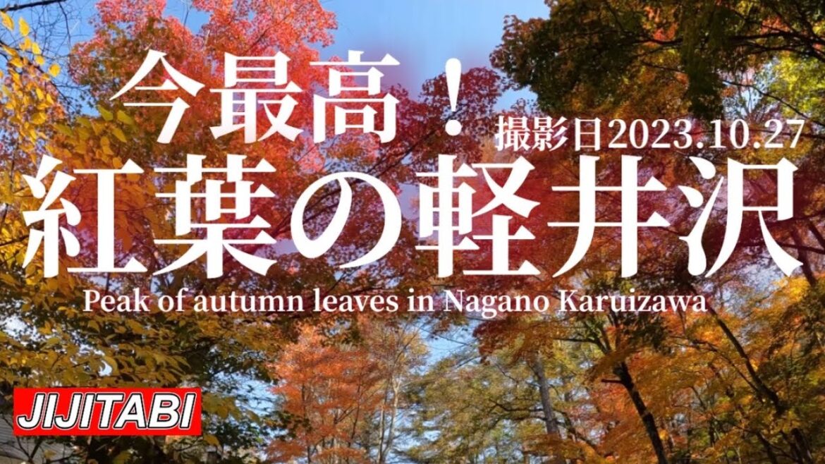 【長野紅葉情報】今最高紅葉の軽井沢撮影日2023.10.27 [Nagano autumn leaves information] Karuizawa best autumn leaves