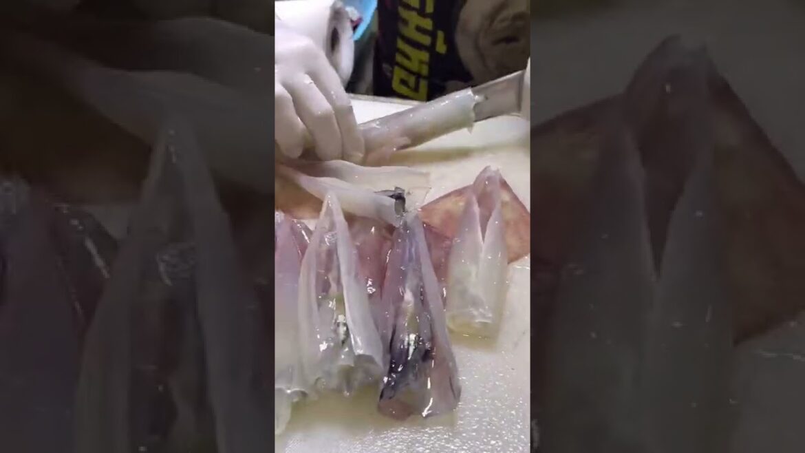 ปลาหมึกซาซิมิ