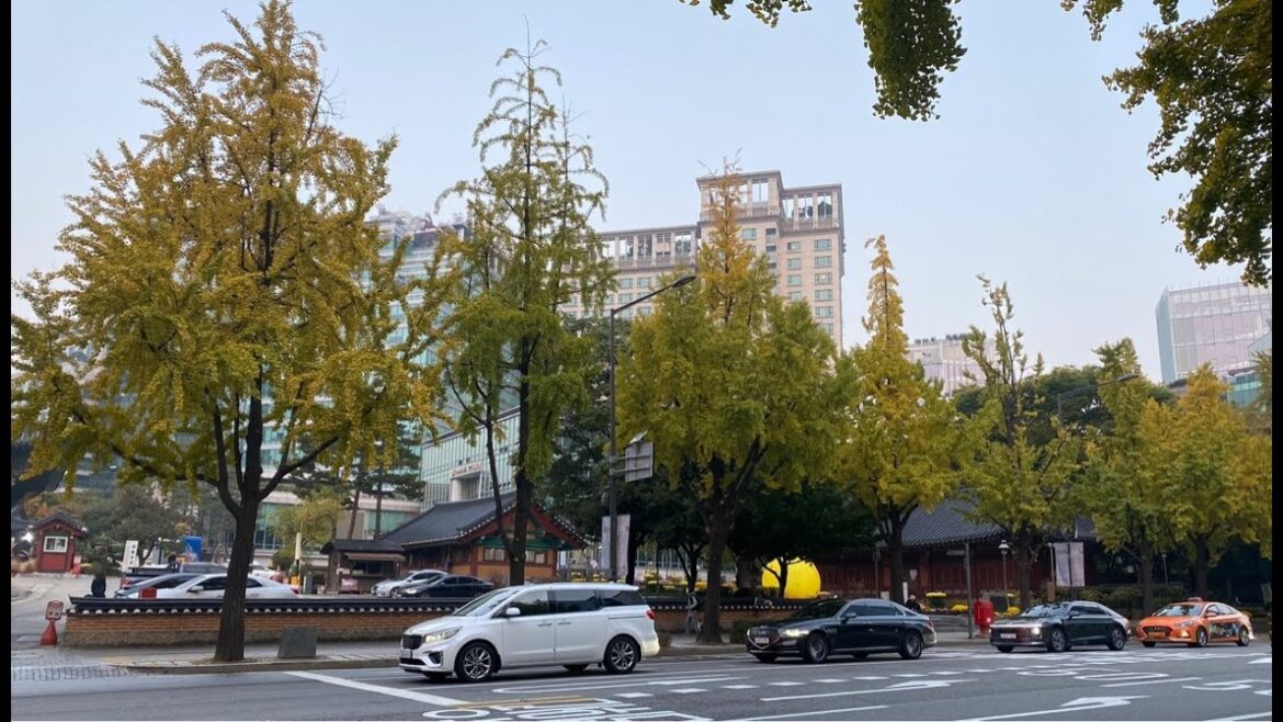 Early Morning in Seoul🇰🇷LIVE from Seoul South Korea Early Morning in Seoul🇰🇷LIVE from Seoul South Korea