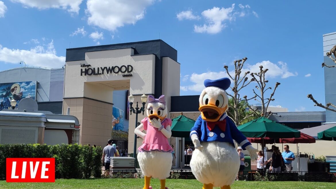 🔴Live: Disney's Hollywood Studios Shows, and rides  10/25/2023