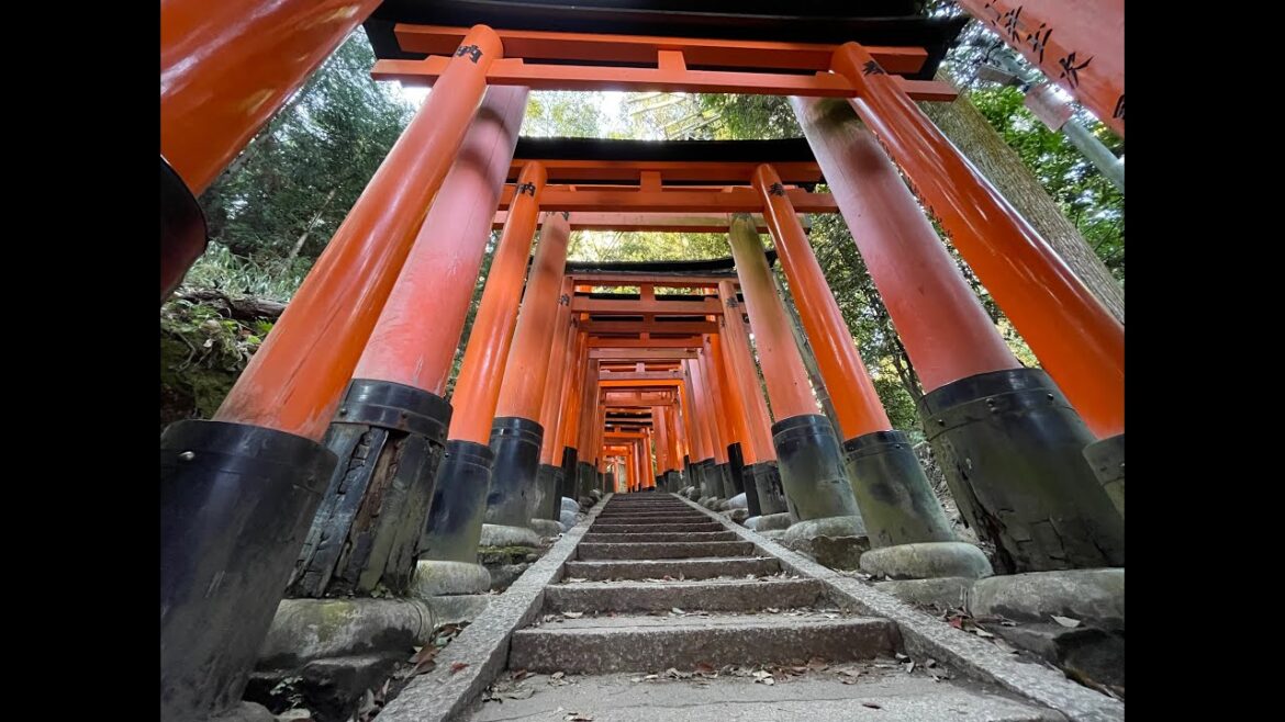 The Thousand Torii Gates Leading to the Realm Beyond, and the Shinkansen Experience to Get There!