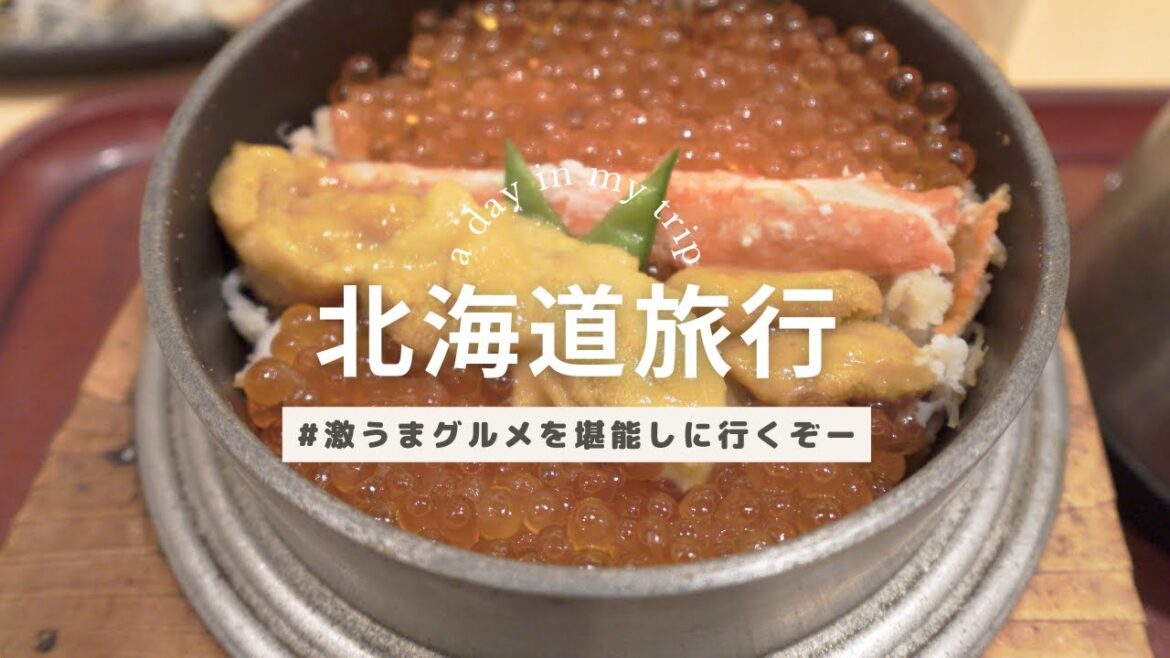 【家族旅行】北海道1泊2日で飯をくらう!!Hokkaido: 2 days and 1 night for a meal! 【家族旅行】北海道1泊2日で飯をくらう!!Hokkaido: 2 days and 1 night for a meal!