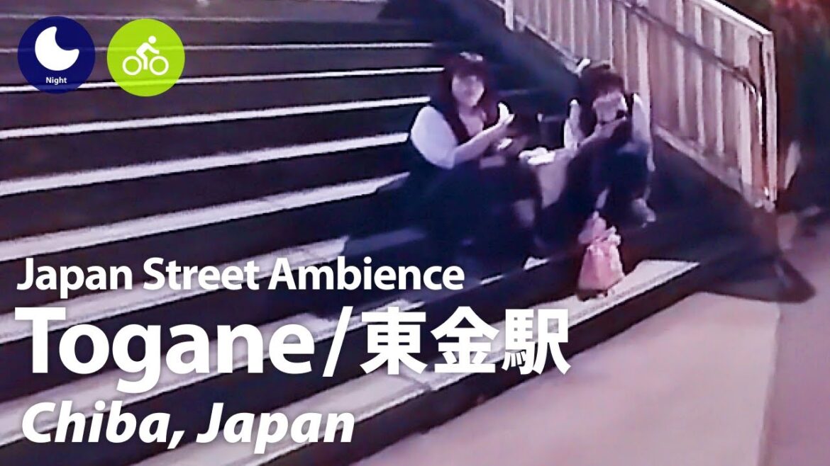 ⁴ᴷ Chiba: Togane Station (東金駅) – Japan Walking & Cycling Tour (October, 2023) | Street Ambience ⁴ᴷ Chiba: Togane Station (東金駅) - Japan Walking & Cycling Tour (October, 2023) | Street Ambience