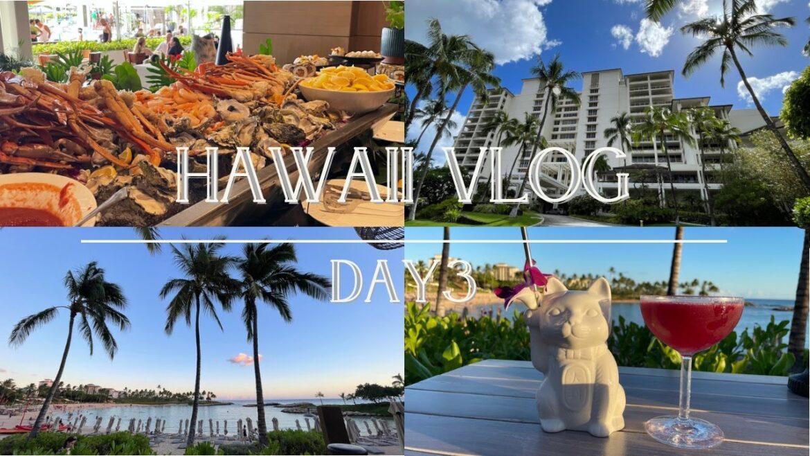 【HAWAII VLOG】DAY3 | ハワイ旅行🌺 |フォーシーズンズオアフ | コオリナ| ブランチ🍴 【HAWAII VLOG】DAY3 | ハワイ旅行🌺 |フォーシーズンズオアフ | コオリナ| ブランチ🍴