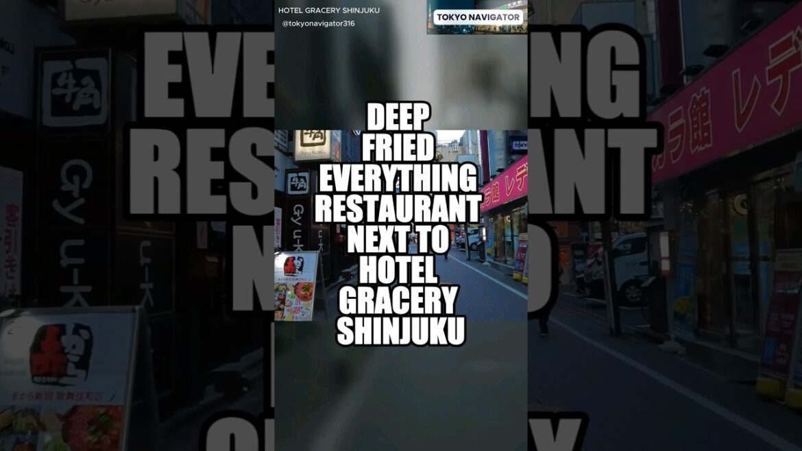 DEEP FRIED EVERYTHING RESTAURANT NEXT TO HOTEL GRACERY SHINJUKU TOKYO JAPAN