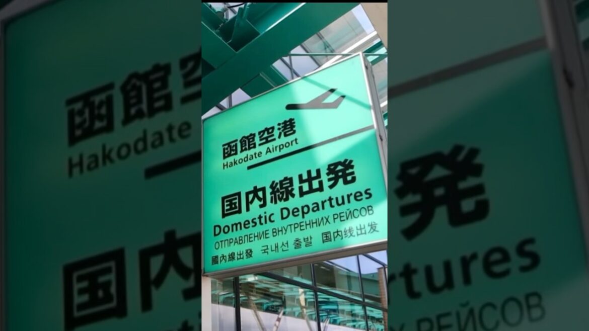 本当に無料でいいの!?函館空港 #Shorts 本当に無料でいいの!?函館空港 #Shorts