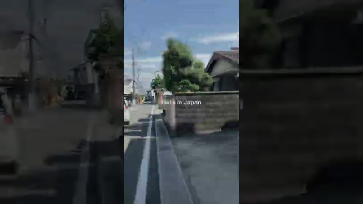 Toyokawa, Aichi in Japan #Shorts