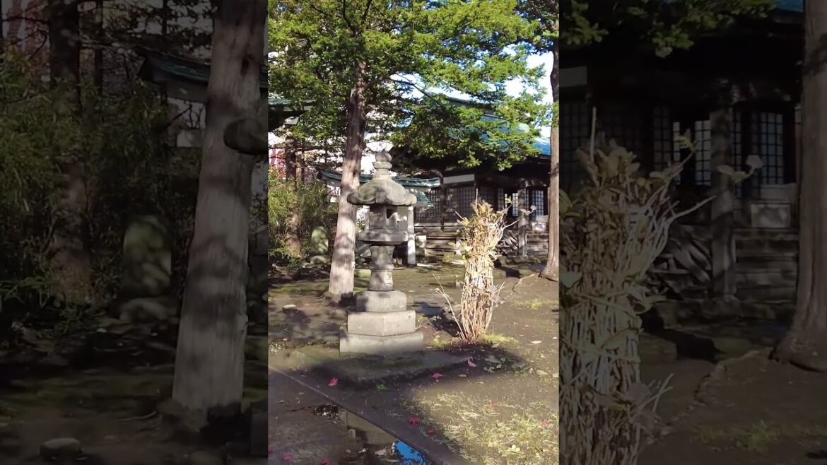 A Secret Aomori Shrine #japan #discoverjapan A Secret Aomori Shrine #japan #discoverjapan