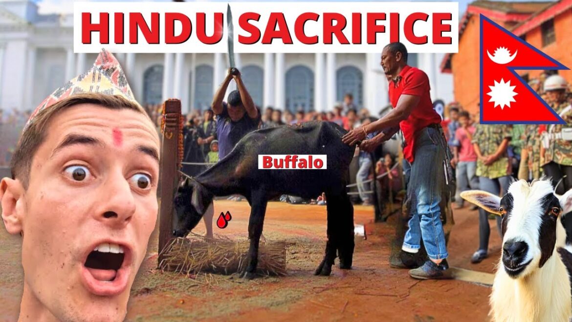 I celebrated Dashain in Nepal🇳🇵 I celebrated Dashain in Nepal🇳🇵