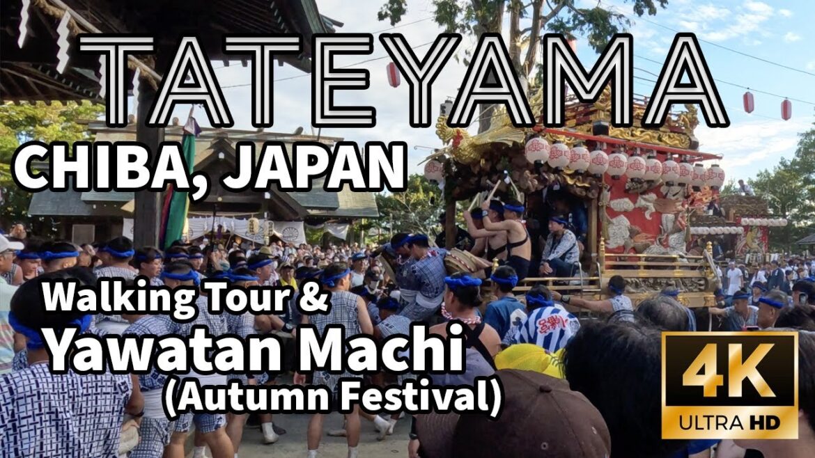 Autumn Festivals in Japan are awesome! TATEYAMA Chiba Matsuri Walking (Yawatan-Machi) 4K 館山市 やわたんまち