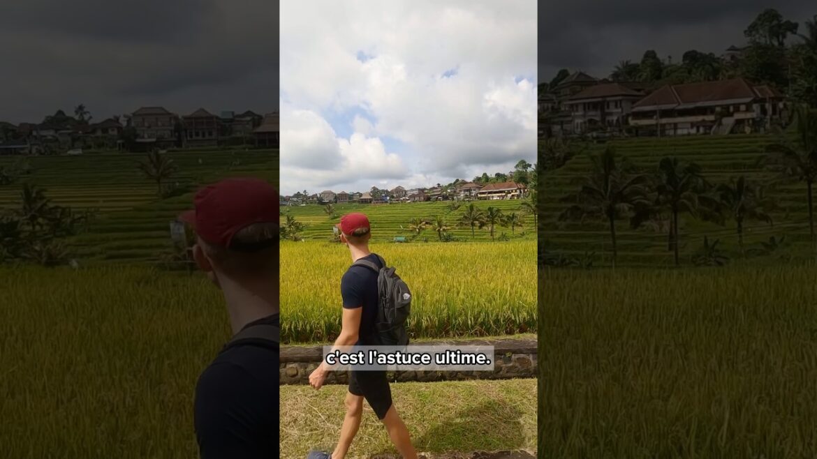 3 Secrets pour Être Seul dans les Lieux Connus (selon un influenceur)