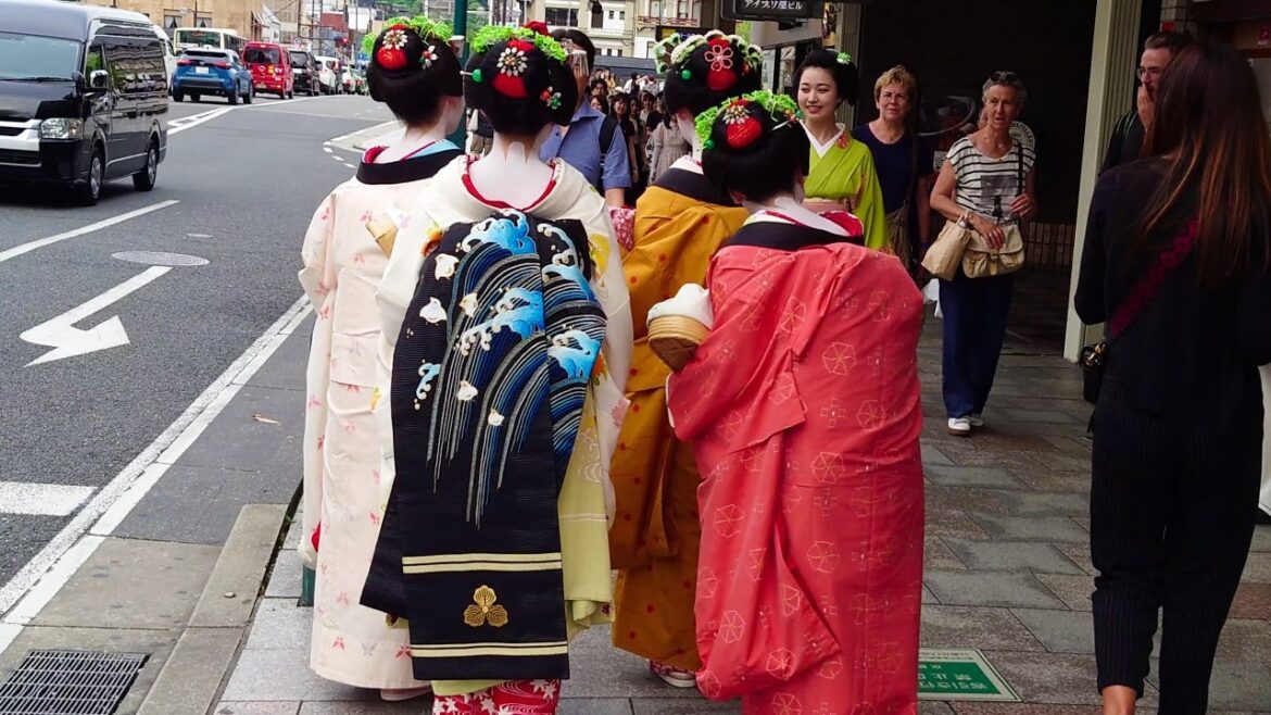 Geisha Walk Gion Shijo in Kyoto 外国人観光客も感動!京都、南座から祇園四条を歩く舞妓さん | 紅葉が遅れている秋の京都 Geisha Walk Gion Shijo in Kyoto 外国人観光客も感動!京都、南座から祇園四条を歩く舞妓さん | 紅葉が遅れている秋の京都
