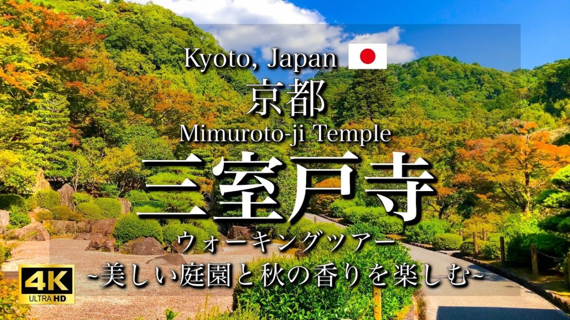 [京都|Kyoto] 三室戸寺を観光｜宇治に佇む美しい庭園の寺院｜Mimuroto-ji Temple Walking Tour(Vlog)[4K]