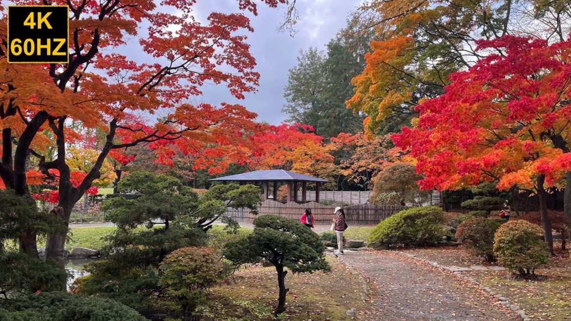 Walk in Sapporo, Japan | 4k sapporo 札幌 | 札幌 北海道 秋 |  札幌散歩 | city walk 4k Walk in Sapporo, Japan | 4k sapporo 札幌 | 札幌 北海道 秋 |  札幌散歩 | city walk 4k