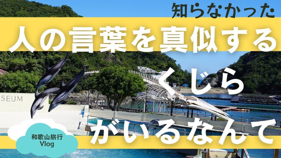 世界遺産熊野大社と神倉神社で心身鍛錬、クジラ博物館で超レアな海獣に出会う【和歌山旅行】2泊3日最終日 鯨は人の言葉を真似ることができるらしい！