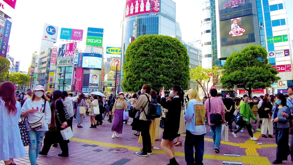 Shibuya in Tokyo. The hot day is back ♪ 💖 4K ASMR non-stop 1 hour 06 minutes