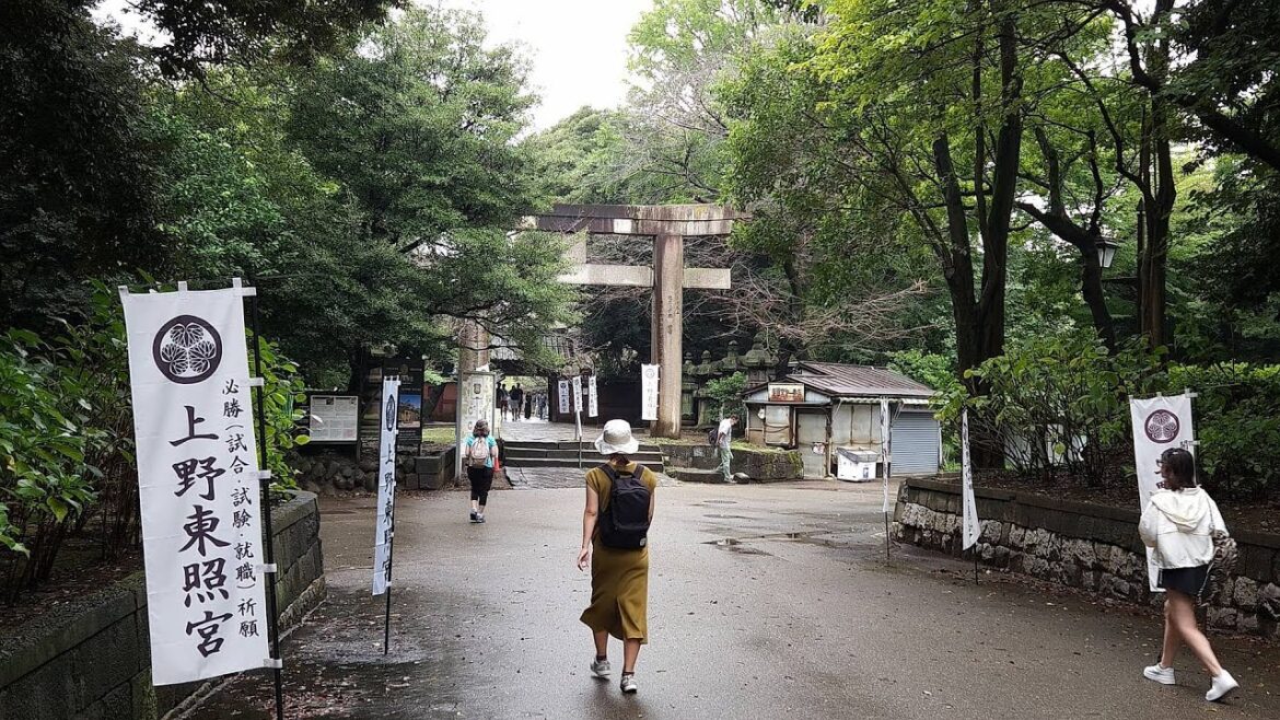 Delayed Flight And Our Walk Around Tokyo's Ueno Park