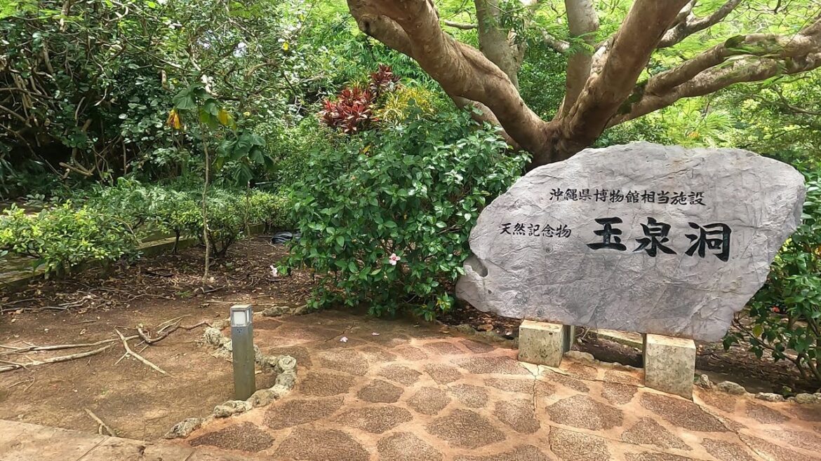 Okinawa trip #1 (沖縄旅行#1) Okinawa trip #1 (沖縄旅行#1)