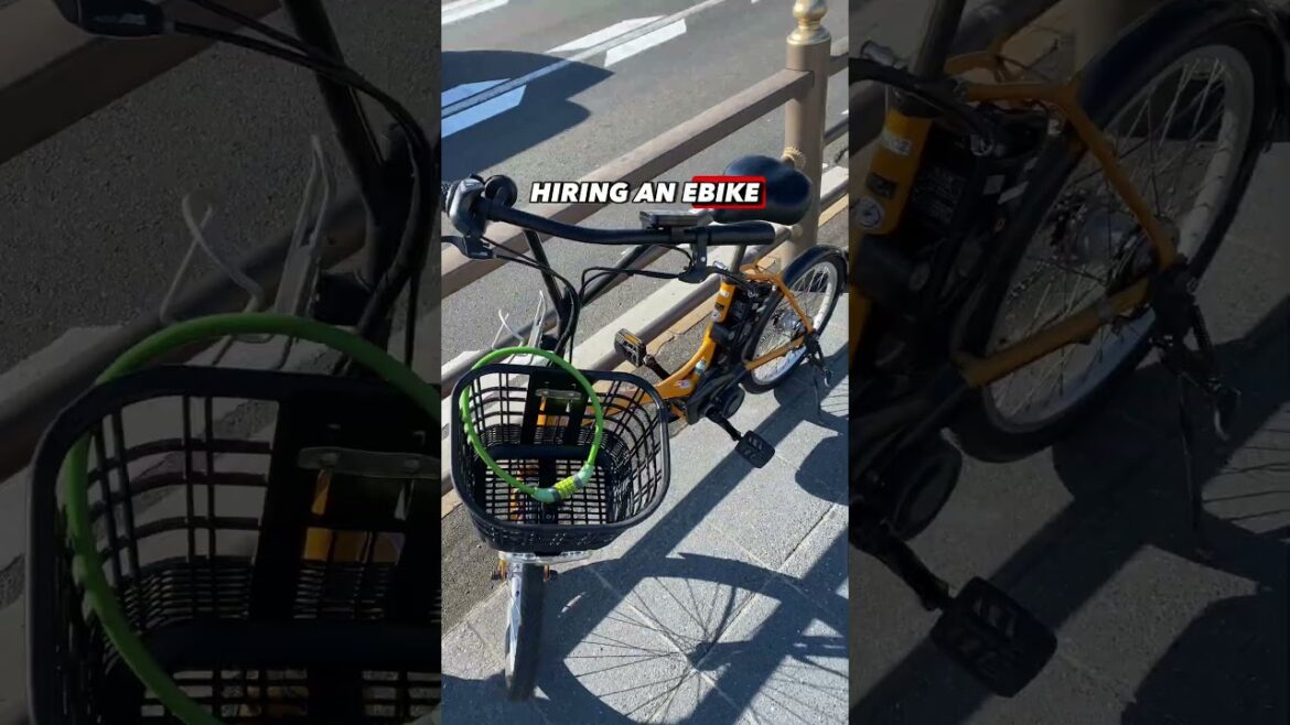 This is the best way to see Kyoto! #travelkyoto #traveltips #japantravel This is the best way to see Kyoto! #travelkyoto #traveltips #japantravel