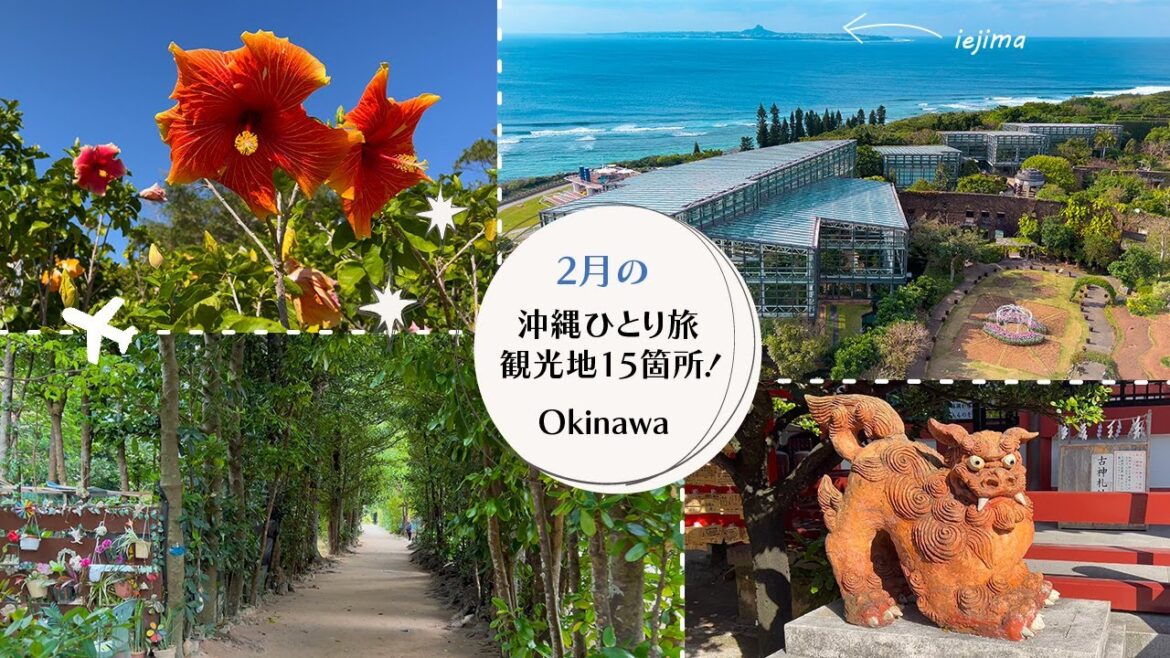 2月の沖縄ひとり旅✈ソロドライブ／ANAセール便で行く