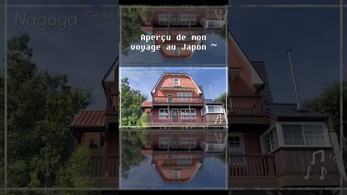 Le Japon en 55secs 🇯🇵🏯🗾 #shorts