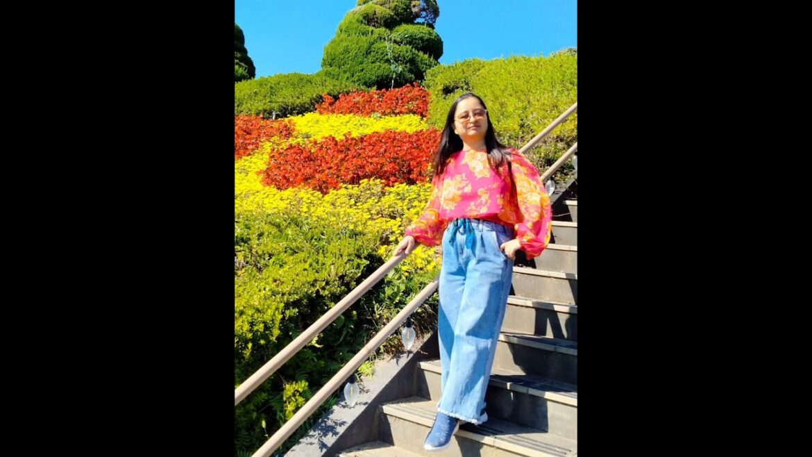 Indians Traveling in Japan #shorts #shortvideo