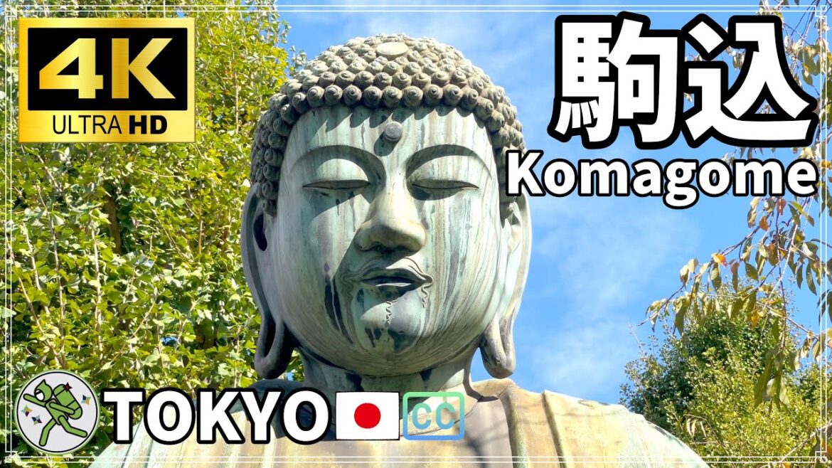 【駒込】ココが真の吉祥寺だ、の巻 【駒込】ココが真の吉祥寺だ、の巻