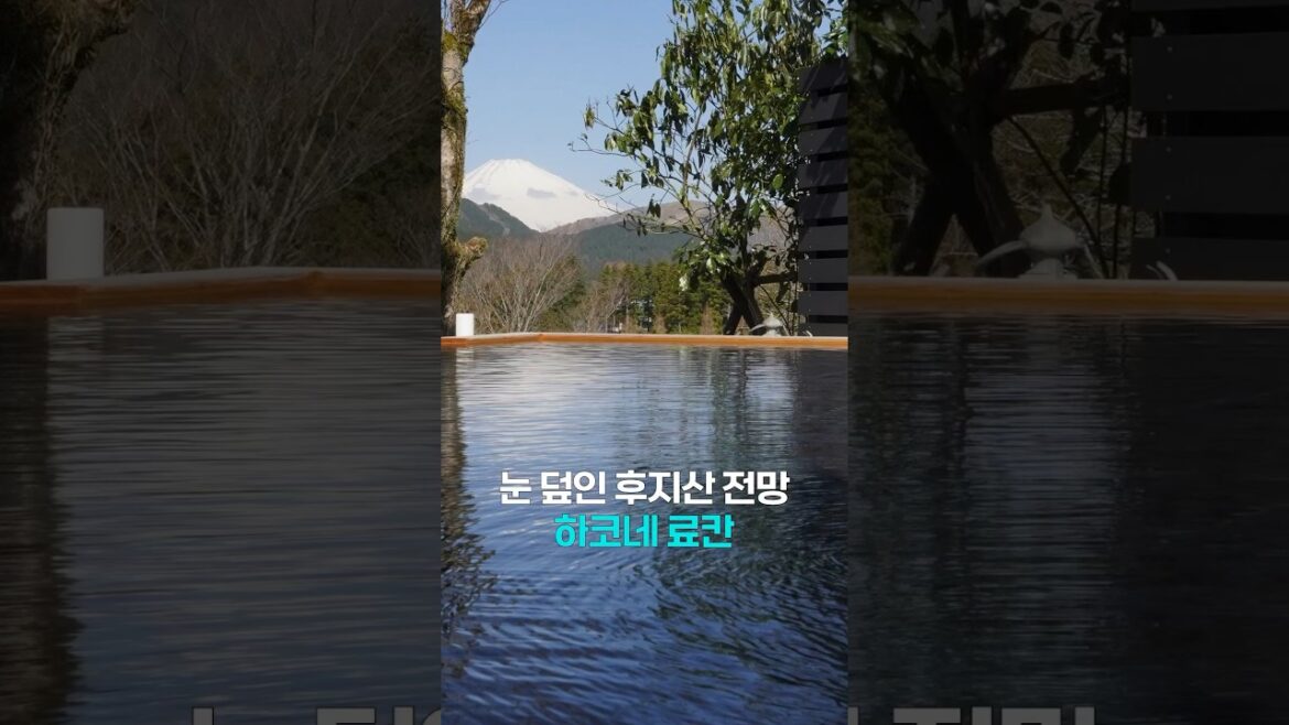 후지산뷰 료칸, 하코네에서 유명한 온천 숙소를 소개합니다 #shorts
