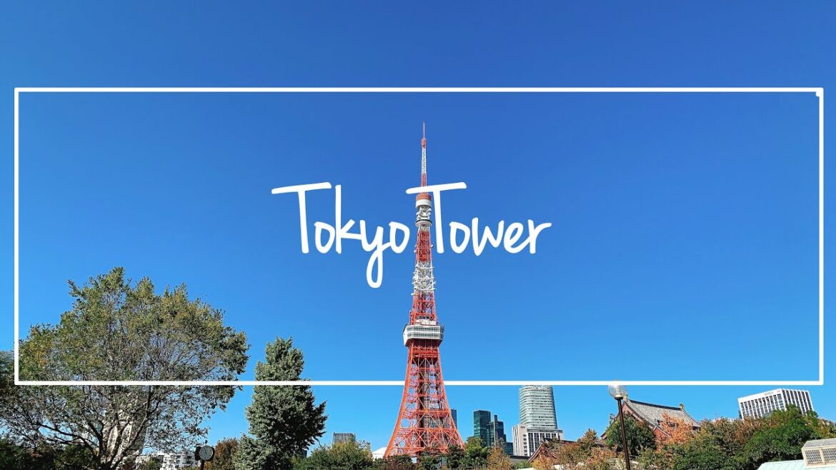 ［Vlog］Tokyo Tower｜Cafe｜Morning Routine