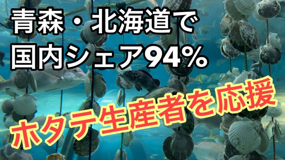 青森34 青森県産ホタテを食べて応援(北海道産も) 青森34 青森県産ホタテを食べて応援(北海道産も)