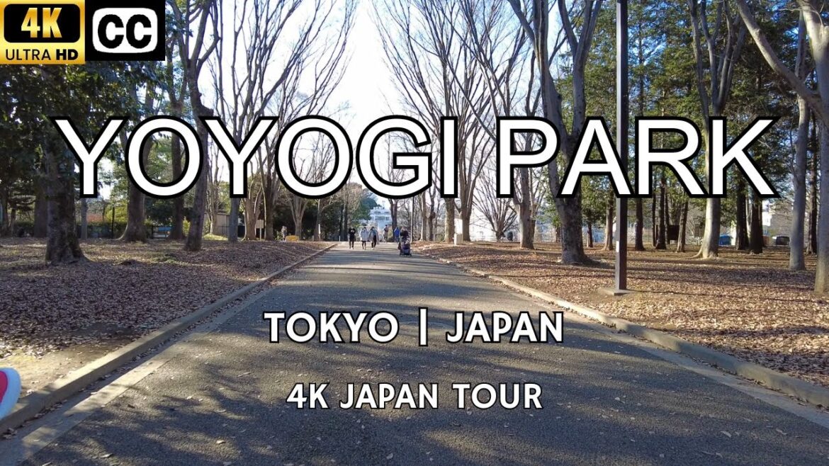 [4K] Japan Walk Tour | Yoyogi Park | Tokyo | Japan
