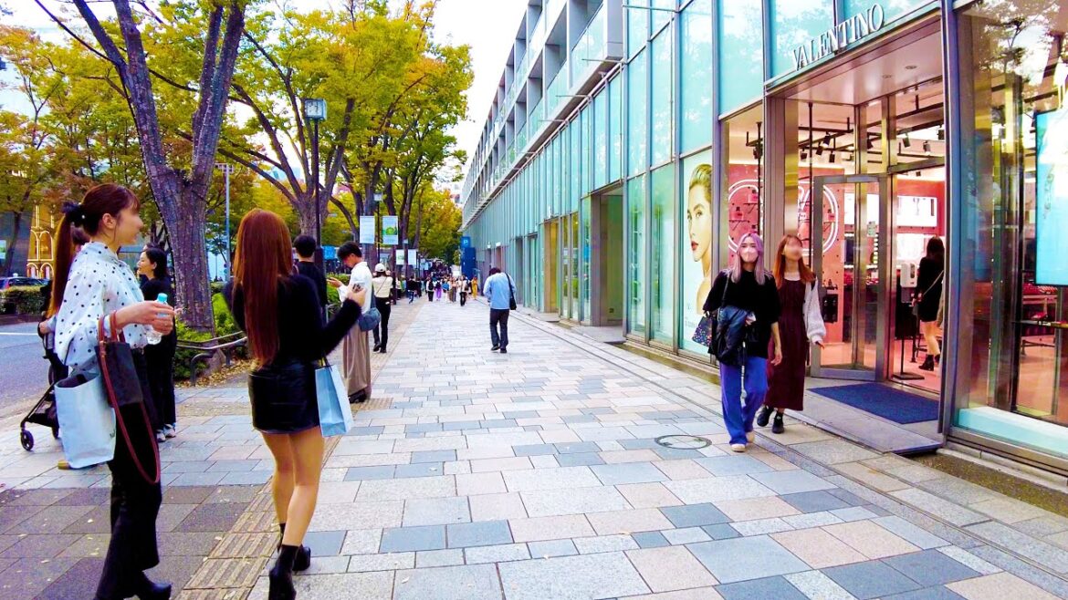 Omotesando in Tokyo ๐ถ๐ป Fashionable and popular spot โช๐4K ASMR Nonstop 1 hour 01 minutes Omotesando in Tokyo ๐ถ๐ป Fashionable and popular spot โช๐4K ASMR Nonstop 1 hour 01 minutes
