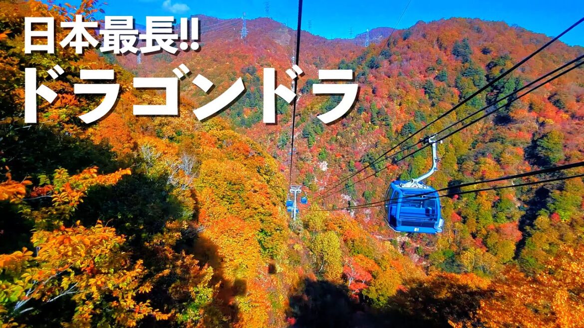 【日本最長】5.5kmのドラゴンドラから紅葉を見たら圧倒的景色だった!!|苗場|四万温泉|ドライブ|田舎暮らし|新潟県|4K 【日本最長】5.5kmのドラゴンドラから紅葉を見たら圧倒的景色だった!!|苗場|四万温泉|ドライブ|田舎暮らし|新潟県|4K