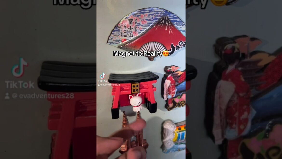 Magnets to what it really is in real life😍 #Japan #Travel #Kyoto #Shorts