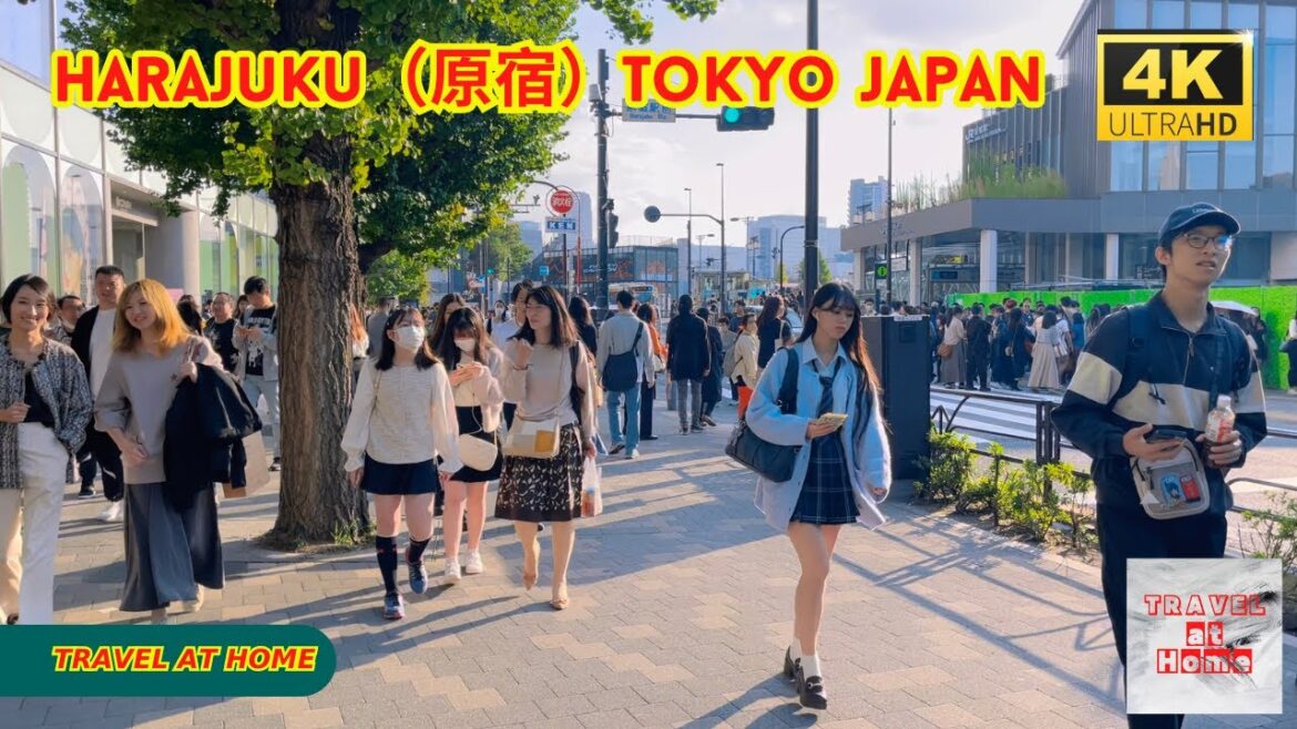 4k hdr japan travel | Walk in Harajuku（原宿）Tokyo japan |  Relaxing Natural City ambience