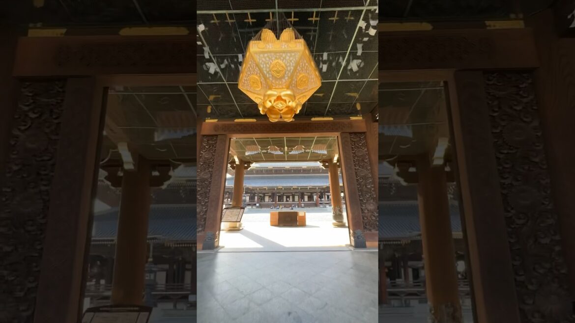 Kyoto Higashi Honganji Temple Walk Through #japanwalk #kyoto #japan #walkingtour #japantourism Kyoto Higashi Honganji Temple Walk Through #japanwalk #kyoto #japan #walkingtour #japantourism