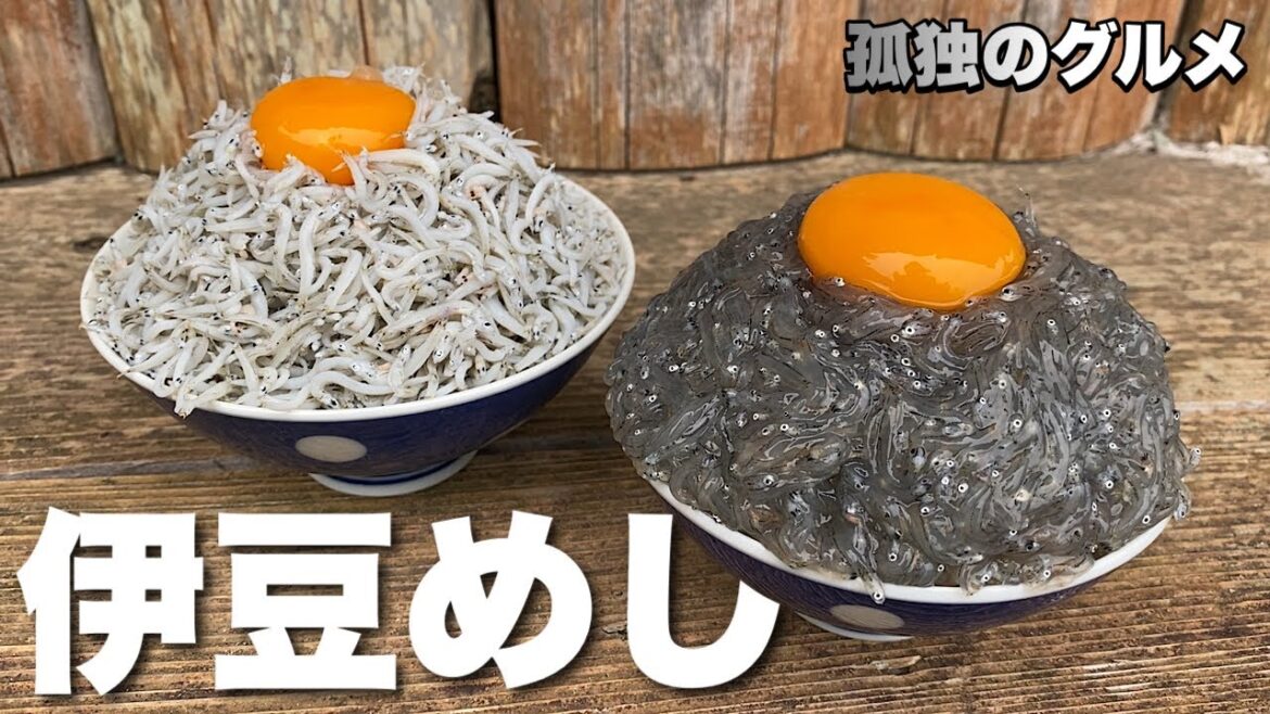 【最高の伊豆旅行】獲れたてしらす丼を喰らう！常識を超える悶絶級の味！『飯テロ』伊東グルメ/大武丸/トミヤコーヒー