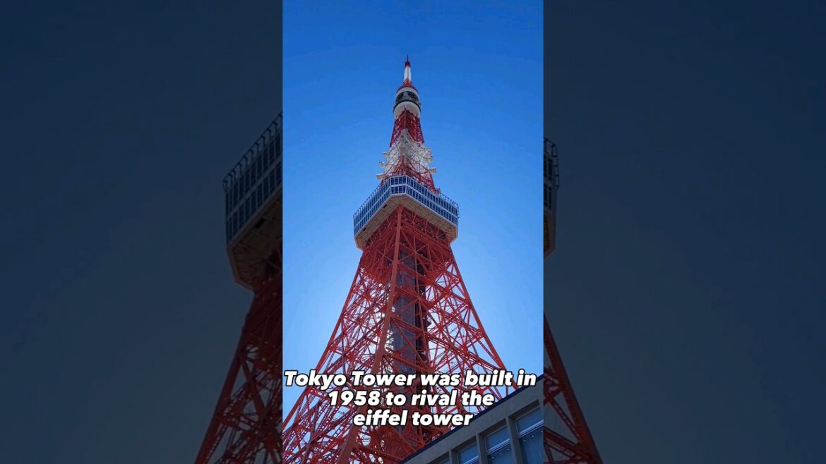 Let’s go to TOKYO TOWER 🇯🇵 #japan #travel #tokyo Let's go to TOKYO TOWER 🇯🇵 #japan #travel #tokyo