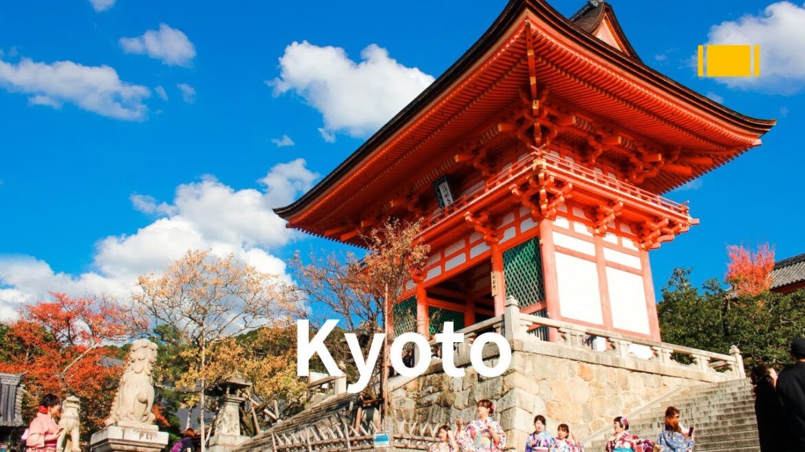 Experience Tranquil Kyoto Together